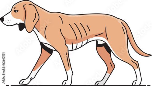 A tan and white hound dog with floppy ears in a stylized walking pose.