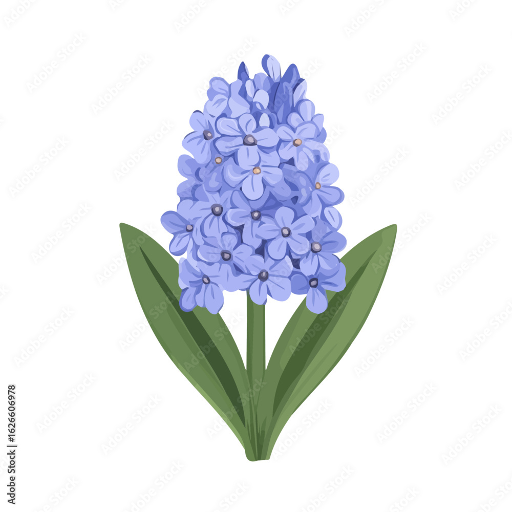 Fototapeta premium Hyacinth Flower, flat style 2D vector image, isolated on a white background