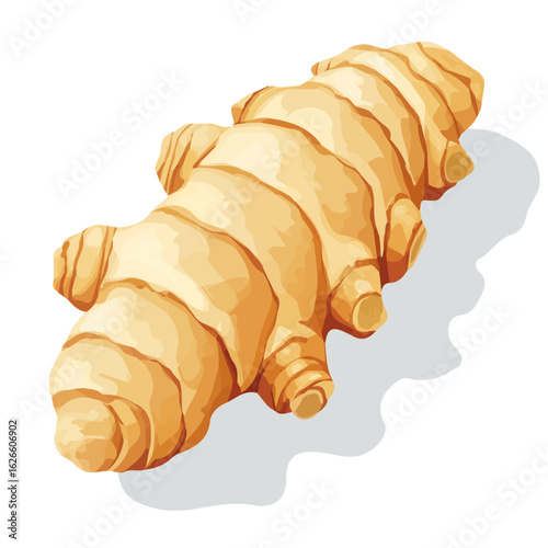 Ginger Root, flat style 2D vector image, isolated on a white background