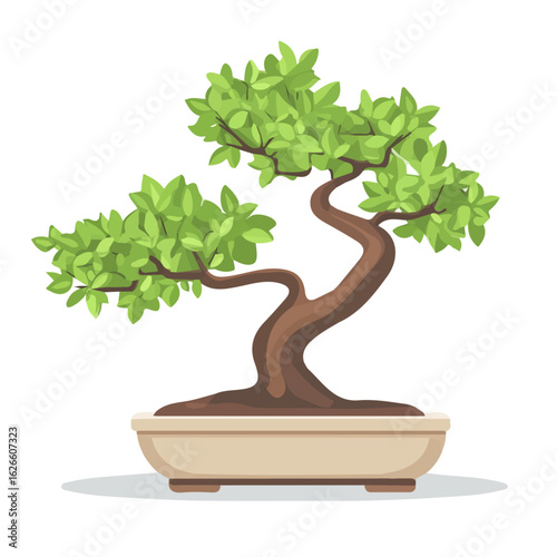 Elm Bonsai, flat style 2D vector image, isolated on a white background