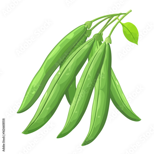 2D flat vector illustration of a Green Beans in icon style, isolated on white background