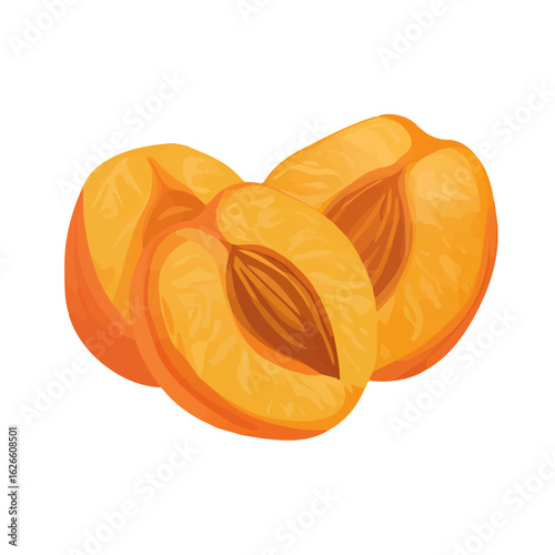 2D flat vector illustration of a Dried Apricot in icon style, isolated on white background