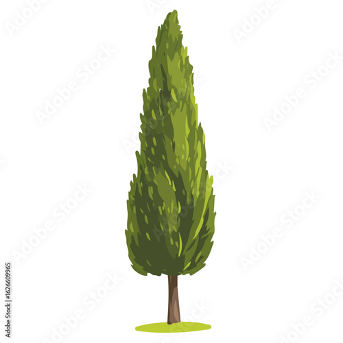 Minimal flat vector of a Cypress Tree, 2D icon-style illustration on white background