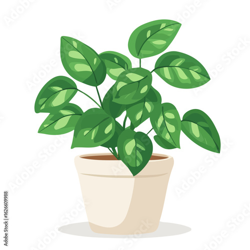 Minimal flat vector of a Jade Pothos, 2D icon-style illustration on white background