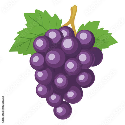 Grape, flat style 2D vector image, isolated on a white background