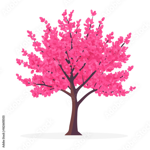 Tableau sur toile Redbud Tree, flat style 2D vector image, isolated on a white background