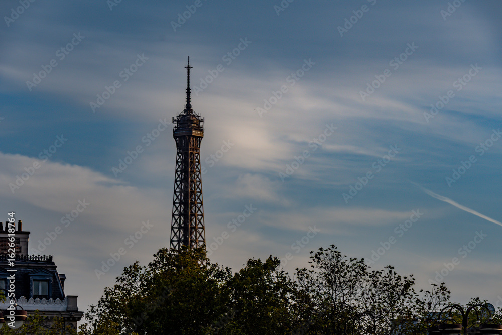Obraz premium Unique perspective of the Eiffel Tower's pinnacle framed by foliage, bathed in warm evening light.
