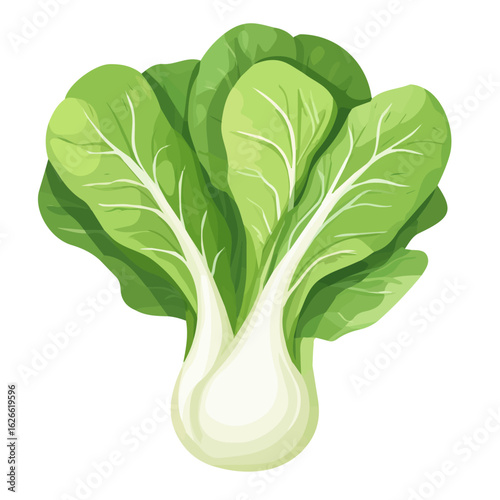 2D flat vector illustration of a Pak Choi in icon style, isolated on white background