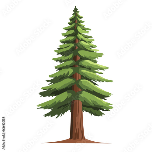 Flat 2D Redwood Tree illustration, vector graphic in icon style, on white background