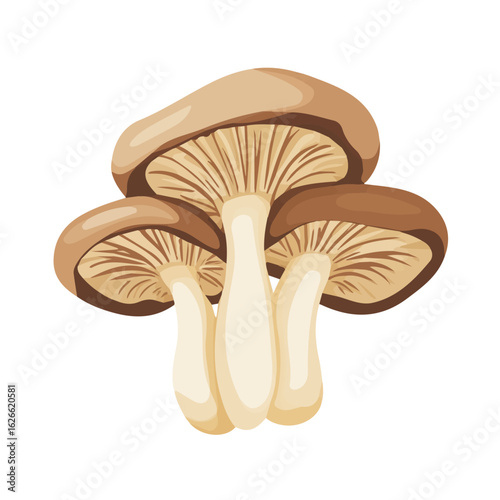 2D flat vector illustration of a Maitake Mushroom in icon style, isolated on white background