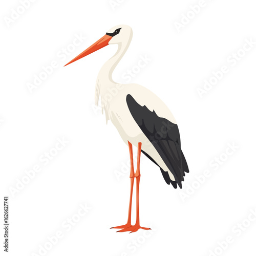Stork, flat style 2D vector image, isolated on a white background