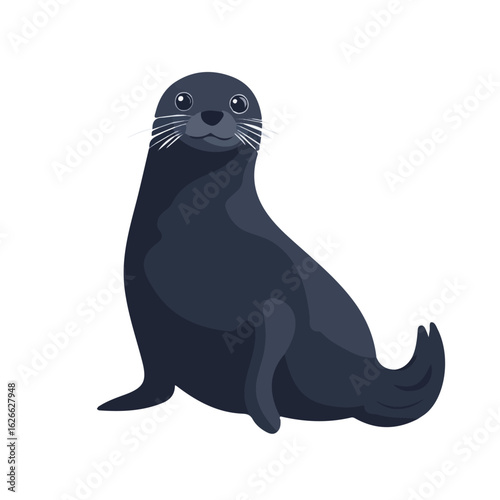 Minimal flat vector of a Seal, 2D icon-style illustration on white background