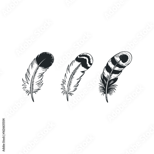 Three graphic feathers in a row with different stripe patterns
