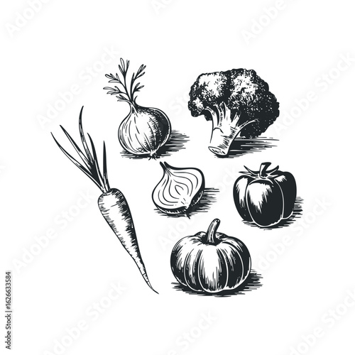 Monochrome Vegetable Still Life with Carrot Onion Broccoli and Bell Pepper