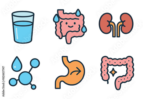 Hydration Digestion Icons. Flat vector mini-illustrations hydration in digestion in colors children's