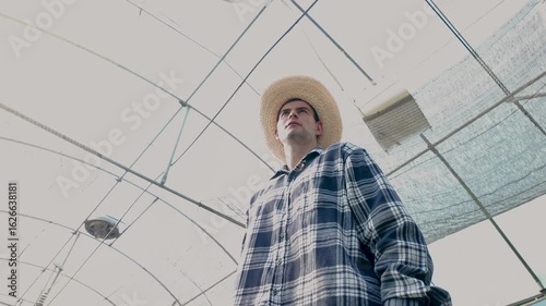 Gardener inspects and records quality of green lettuce in greenhouse cultivation. Horticulture farmer harvest healthy nutrition organic salad vegetables on hydroponic farm