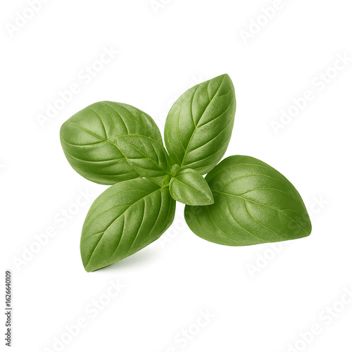 basil leaves