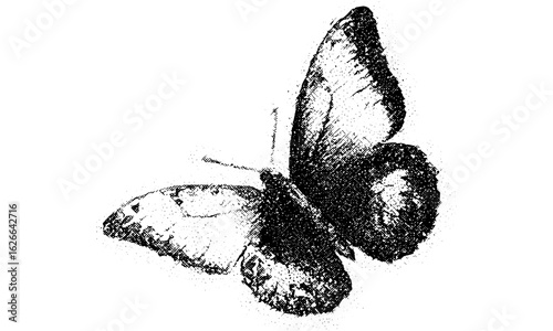 Dotted halftone butterfly with grainy photocopy texture vector for grunge punk collage y2k design. Vintage retro banner with experimental stipple effect, gothic 90s punk sticker and texture elements