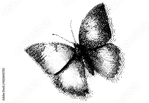 Grainy halftone butterfly vector with stipple effect for retro punk grunge y2k collage design. Experimental dotted photocopy texture vintage illustration, gothic 90s sticker poster style