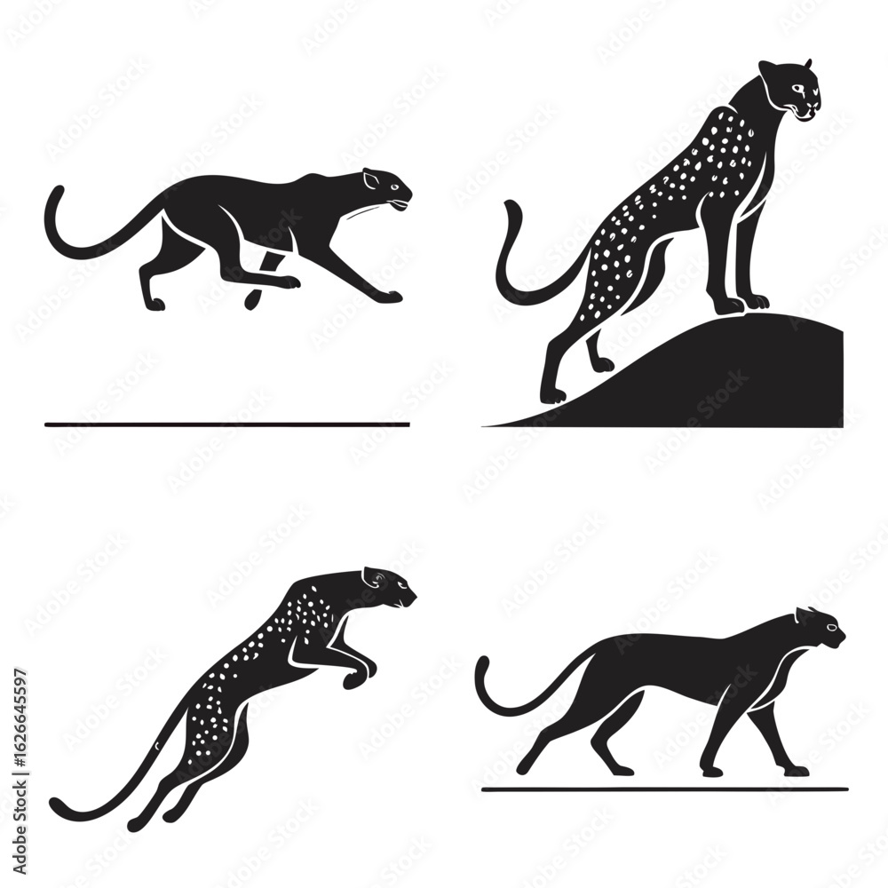 Fototapeta premium set of cheetah