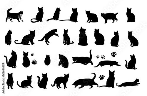 Vector illustration of cat silhouettes in various poses, perfect for Halloween and cat lovers. Ideal for pet, feline, domestic, animal themes with paw prints, kitten, meow, and more