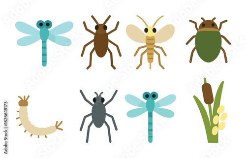 Colorful Pond Insects. Flat vector mini-illustrations of pond insects in colors children's illustrations: