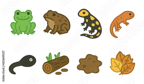Colorful Amphibian Icons. Flat vector mini-illustrations of amphibians at the pond in colors children's