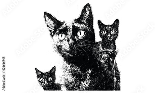 Retro vector collage of a creepy Halloween cat with vintage stippling, grunge halftone, and photocopy effects. Surreal psychedelic poster with experimental noise and bitmap texture