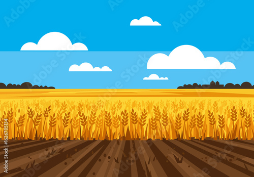 Cartoon Wheat Field Landscape with Blue Sky and White Clouds Illustration
