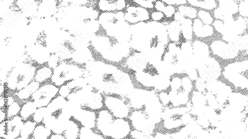 Abstract halftone floral pattern, modern dot flower design, black and white blossom texture, geometric floral halftone art, trendy dotted flower illustration, and minimalist floral dot background