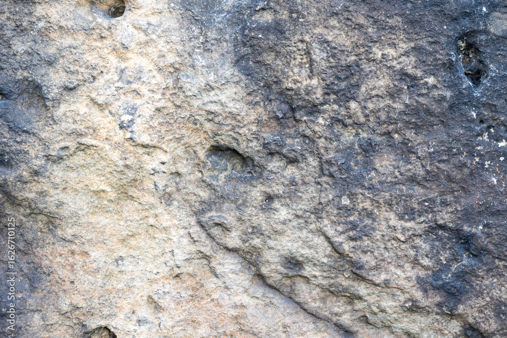 Fototapeta premium Closeup of European granite creates interesting textured background plate