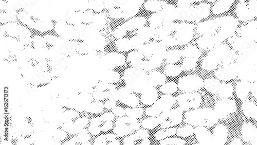 Abstract floral halftone design, modern dotted flower pattern, black and white blossom art, geometric floral texture, trendy halftone bloom illustration, and minimalist floral dot background
