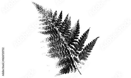 Retro fern illustration with brutalist halftone stipple effect, perfect for grunge punk Y2K collage banners or posters. Vintage photocopy style with nostalgic 90s punk vibes, vector design