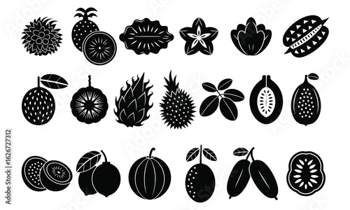 Variety of rare fruit silhouettes in solid black vector icons