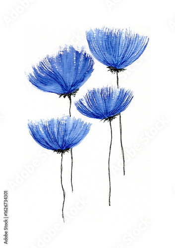 Photography The illustration is done in watercolor and depicts four blue flowers with thin long stems