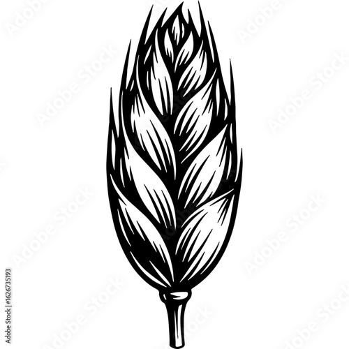 Vintage Engraved Wheat or Cereal Grain Ear Illustration. Monochrome Botanical Drawing for Agriculture, Food, and Beverage Design.
