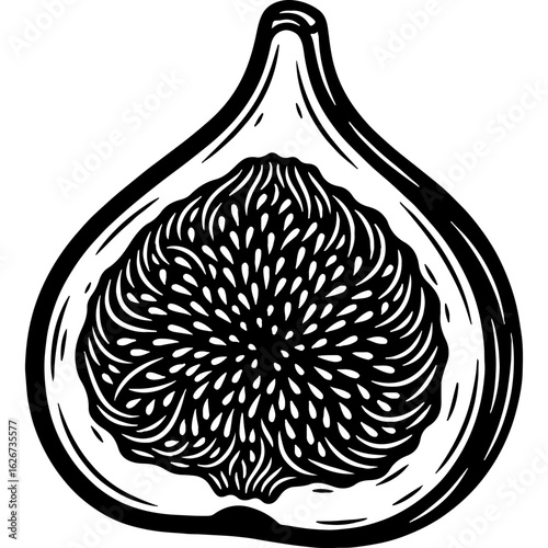 Detailed Woodcut Illustration of a Halved Fig Fruit, Showing Internal Structure and Seeds. Vintage Black and White Botanical Artwork.