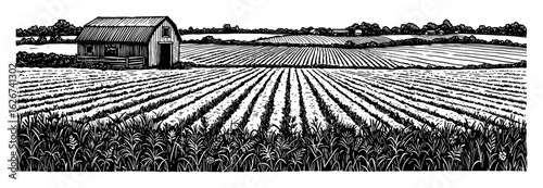 Beautiful Empty Farm Countryside Landscape View with Barn and Crops Black and White Outline Line Art Drawing Simple Style
