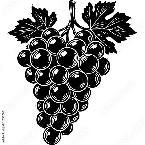 Black and white vintage-style illustration of a grape bunch with leaves. Detailed botanical drawing for organic food, wine, and nature designs.