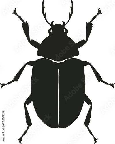 Vector art of silhouette of a beetle insect against a plain background creating a simple yet striking graphic design element for various creative projects