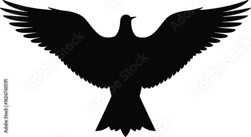Vector art of silhouette of a bird in flight with outstretched wings representing freedom and the beauty of nature