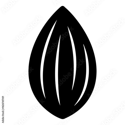 almond icon vector