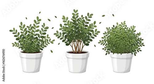 Potted Topiary Plants Ornamental Indoor Decor
