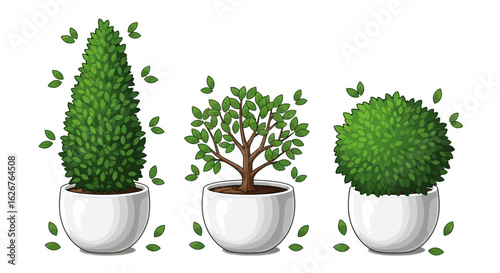 Topiary Plants in White Pots Leaf Litter