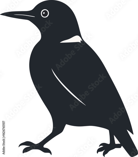 Vector art of silhouette of a black bird standing with its head turned to the side against a light background