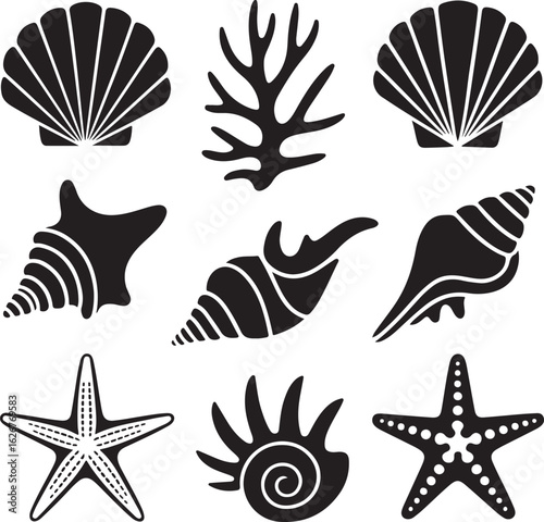 Black silhouettes of seashells coral and starfish conch