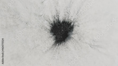 Paint blot transition. Grunge fluid explosion. Black pigment spill on white wet background. Defocused round contrast splotch abstract reveal.