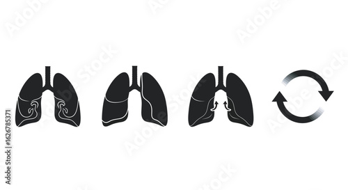 Human lungs anatomy breathing cycle silhouette