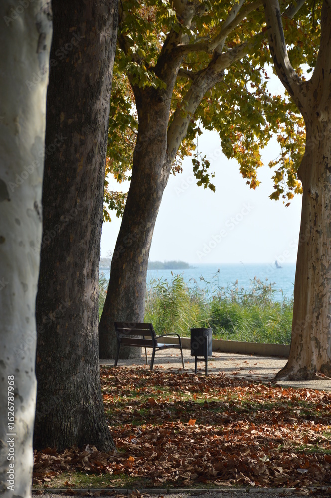 Fototapeta premium park bench