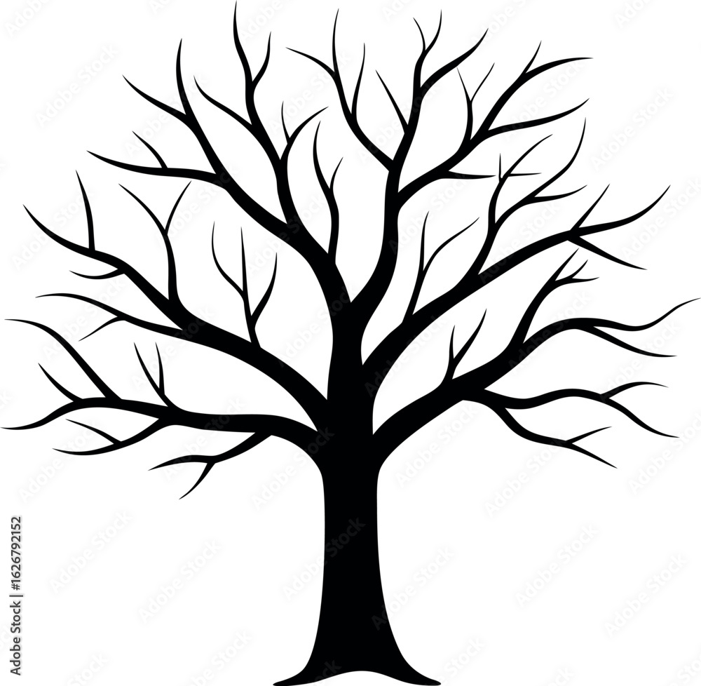 Obraz premium Bare Tree Silhouette